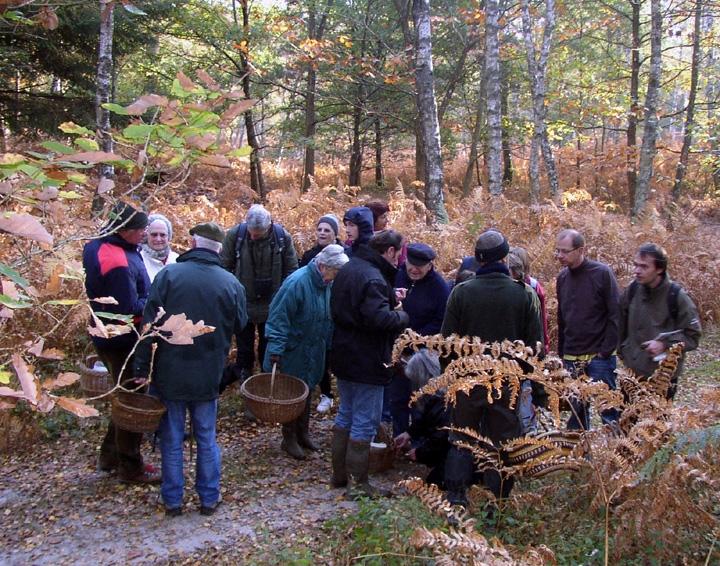 2008 10 Myco domaine de La Claye 25